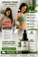 Clorofila Detox Glow 60ml